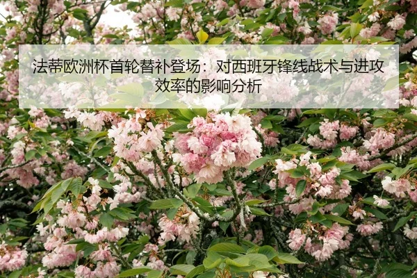法蒂欧洲杯首轮替补登场：对西班牙锋线战术与进攻效率的影响分析